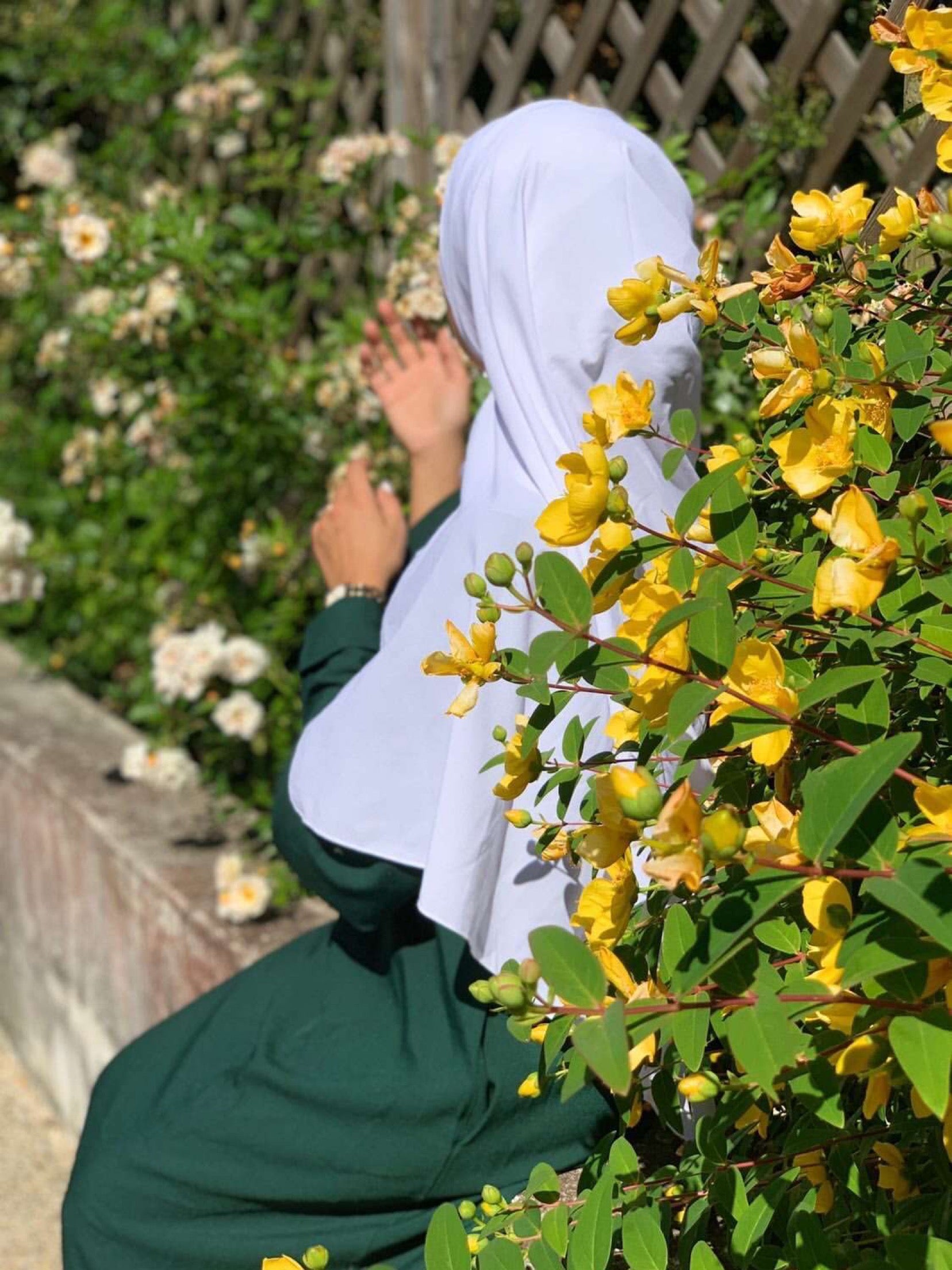 Abaya Asma